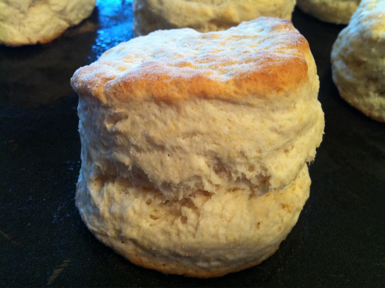 Homemade Biscuits 73